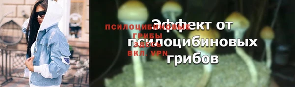 ALPHA PVP Лагань