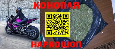 молекула духа Камышлов