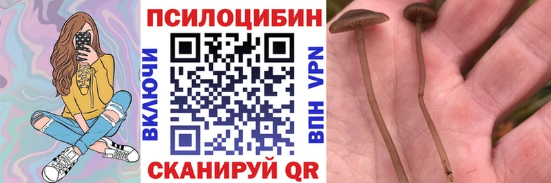 Галлюциногенные грибы GOLDEN TEACHER  Кудымкар 