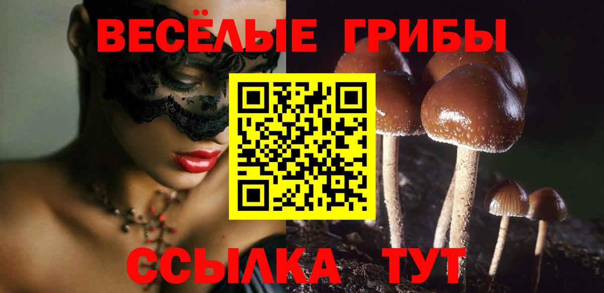 купить наркотик  Псилоцибиновые грибы Magic Shrooms  Галлюциногенные грибы Magic Shrooms  Вход с VPN  Кудымкар 